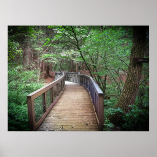 Affiche Passerelle