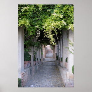 Affiche Passerelle couverte de feuillage, Espagne
