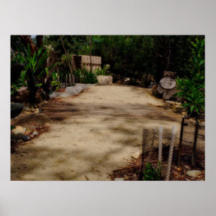 Affiche Passerelle en bois Pont verdoyant