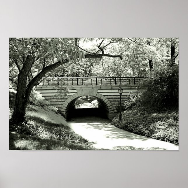 Affiche Passerelle et chemin en brique à Central Park (Devant)