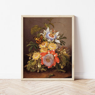 Affiche Passiflores Ferdinand Bauer
