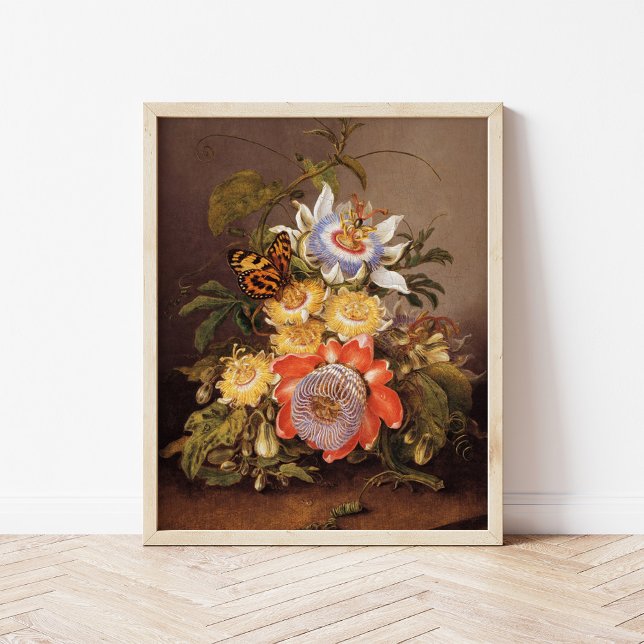 Affiche Passiflores | Ferdinand Bauer (Créateur téléchargé)