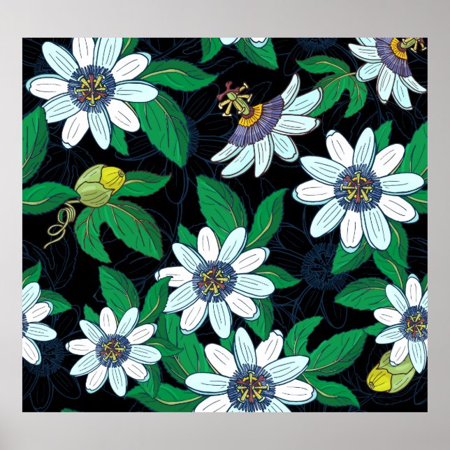 Affiche Passionflower Arrière - plan noir Floral sans join (Devant)