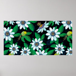 Affiche Passionflower, passiflora sur un arrière - plan no
