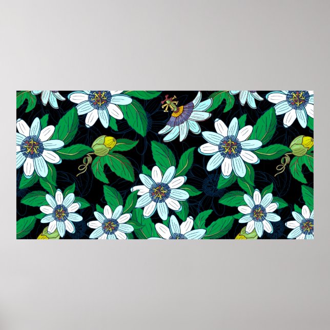 Affiche Passionflower, passiflora sur un arrière - plan no (Devant)