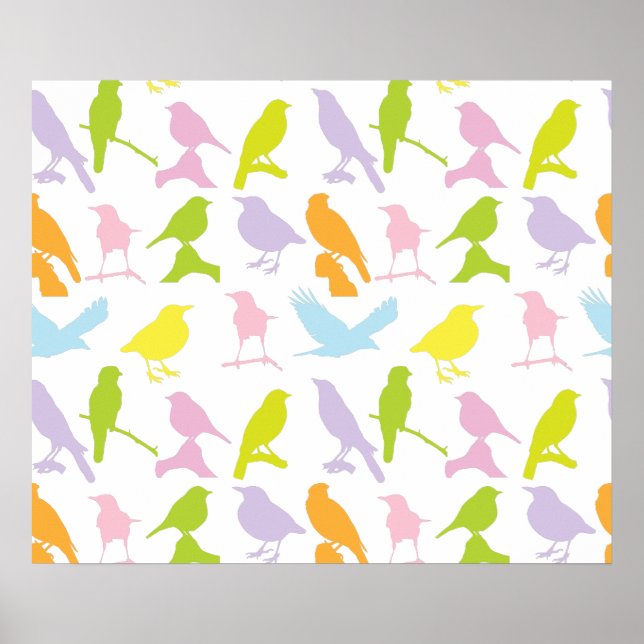 Affiche Pastel Coloured Variété d'oiseaux Motif (Devant)