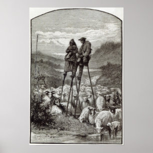 Affiche Pastorale dans les Landes