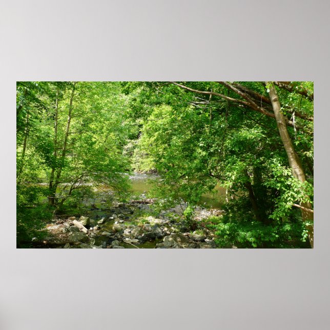 Affiche Patapsco River View Maryland Nature Photographie (Devant)