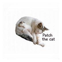 PATCH LE CHAT ET SA CUISINE