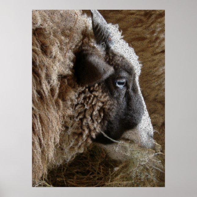 Affiche Patchwork Amy (Devant)