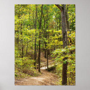 Affiche Path To The Bridge