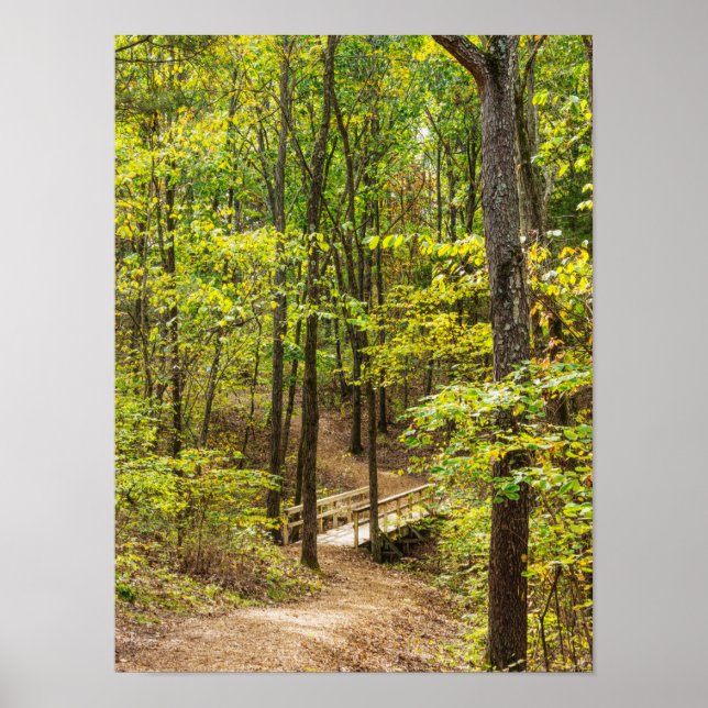 Affiche Path To The Bridge (Devant)