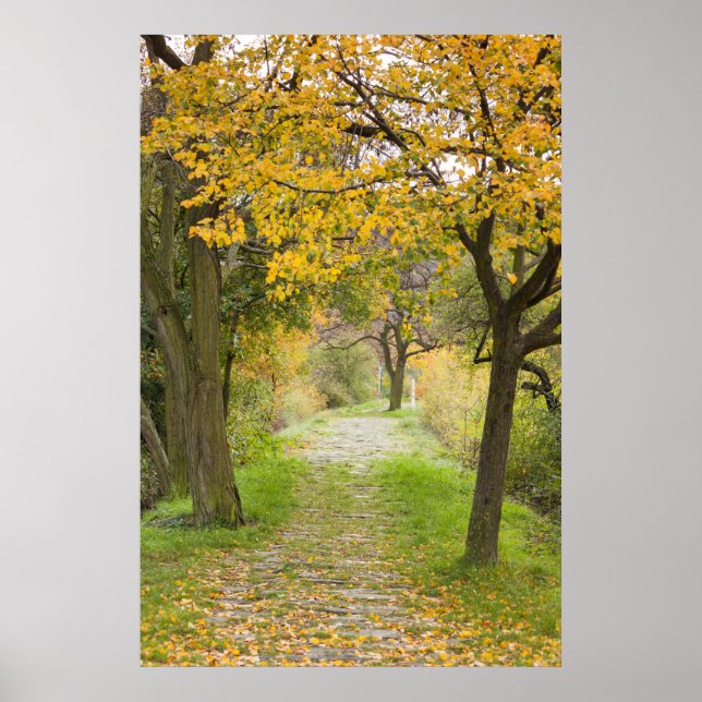 Affiche Pathway en Autumn (Devant)