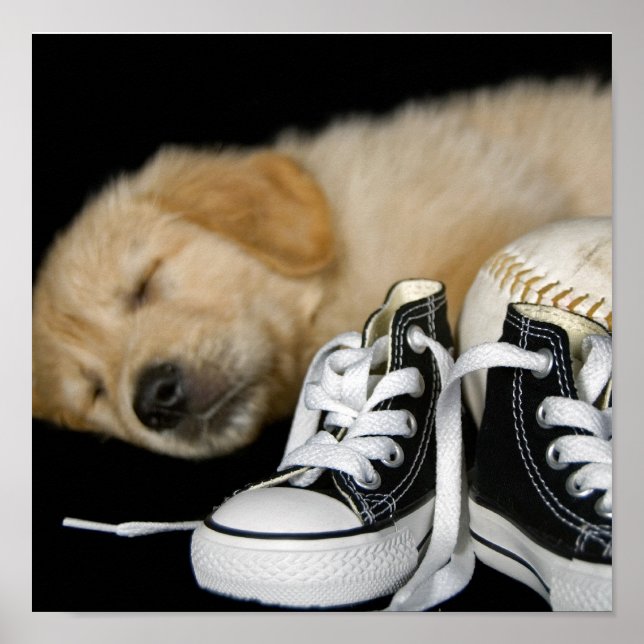 Affiche Patiemment en attente (Devant)