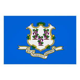 Affiche patriotique murale avec drapeau du Connect