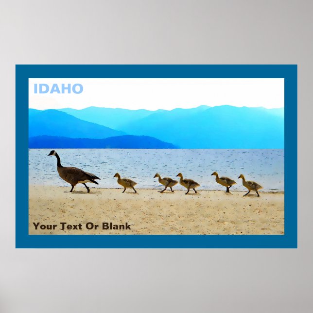 Affiche Patrol Canada Oies (Devant)