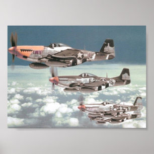 Affiche Patrol Mustang