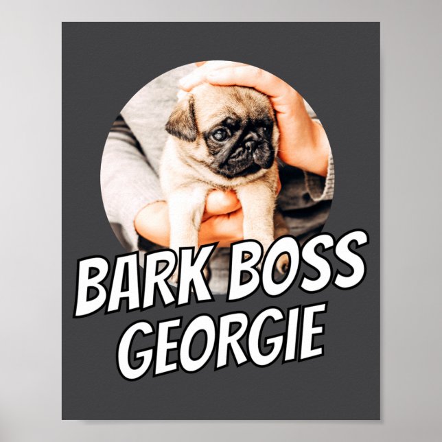 Affiche Patron Bark Animal Photo Moderne Simple Cool  (Devant)