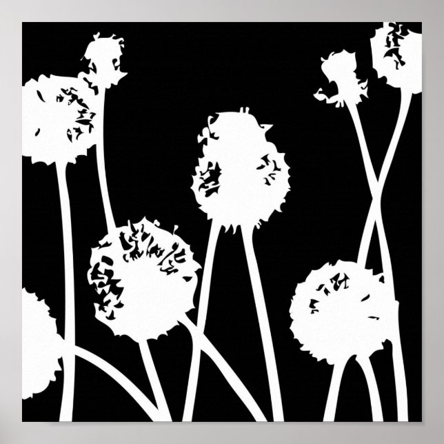 Affiche Patterns from nature 26 (Devant)
