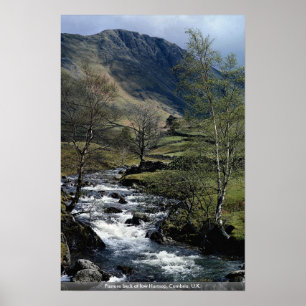 Affiche Pâturage beck à low Hartsop, Cumbria, Royaume-Uni.