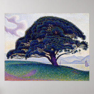 Affiche Paul Signac - Le pin de Bonaventure