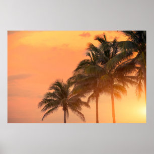 Affiche Paumes de Miami