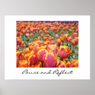 Affiche Pause and Reflect art prints Colorful Tulip Flower