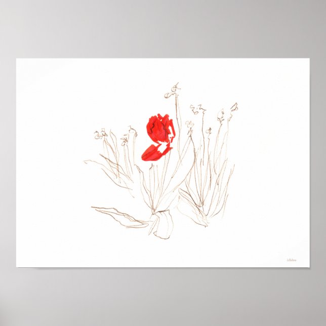 Affiche Pauvre tulipe (Devant)
