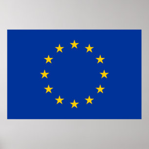 Affiche pavillon de l'Union européenne