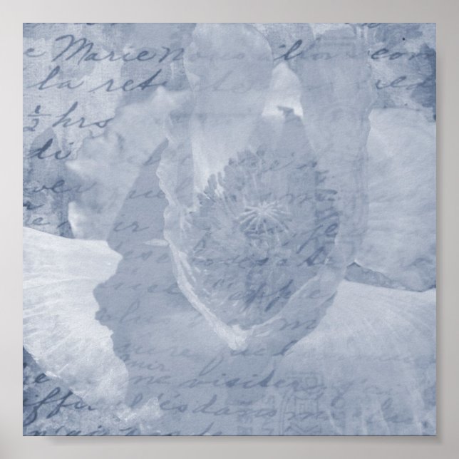 Affiche Pavot 2 (Devant)