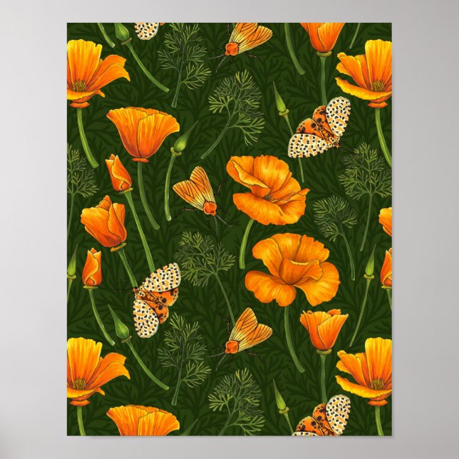 Affiche Pavot de Californie et papillons de nuit sur vert  (Devant)