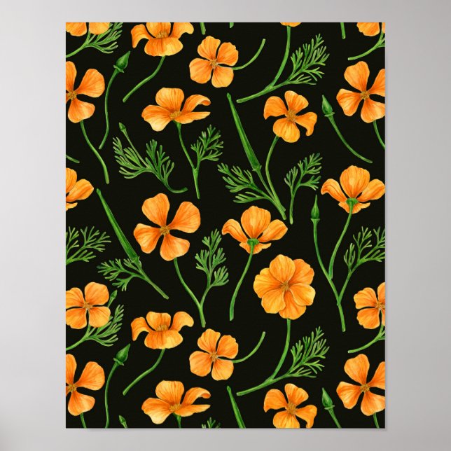Affiche Pavot de Californie, fleurs d'été, orange wil (Devant)