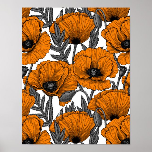 Affiche Pavot orange sur blanc (Devant)