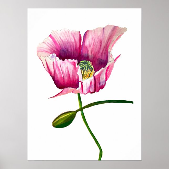 Affiche Pavot rose aquarelle jolie fleur (Devant)
