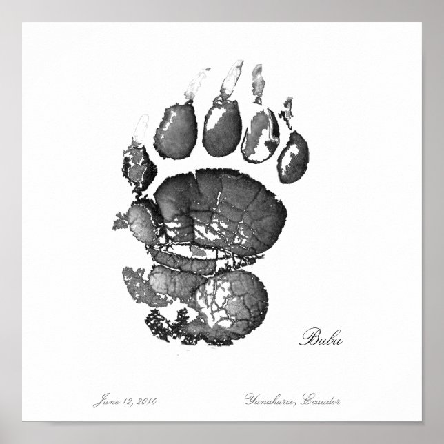 Affiche Pawprint Bubu (Devant)
