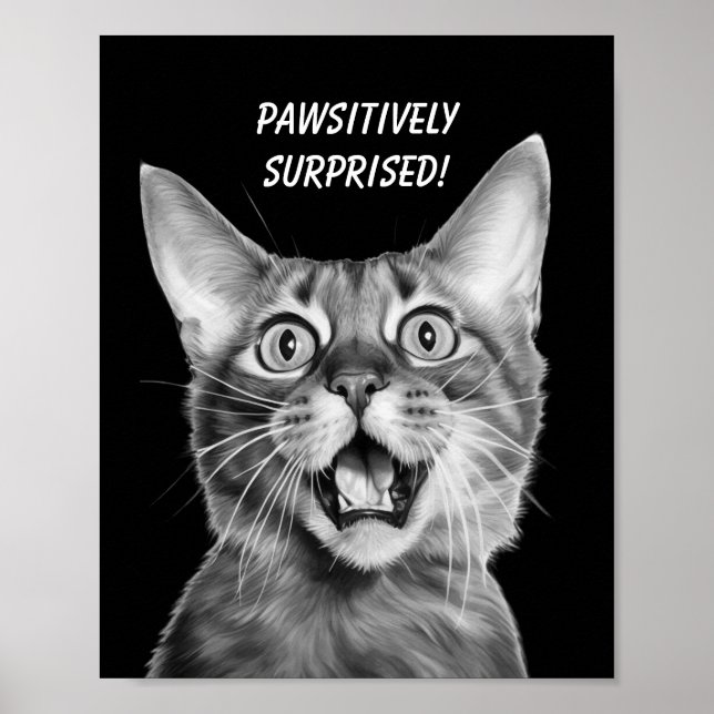 Affiche PAWSITIVEMENT SURPRIS ! Drôle Crazy Cat (Devant)