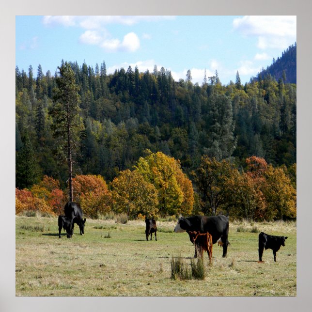 Affiche Pays à l'automne... (Devant)