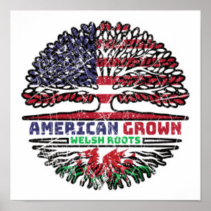 Affiche Pays de Galles Gallois États-Unis États-Unis