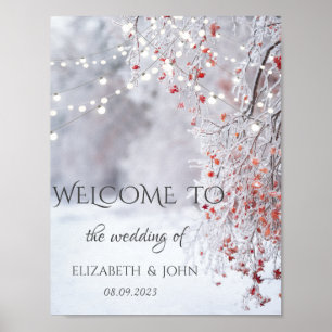 Affiche Pays des merveilles d'hiver, Mariage de lumières d