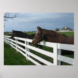 Affiche Pays du Kentucky Bluegrass
