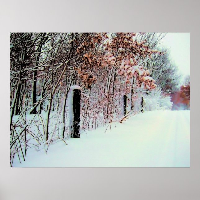 Affiche Pays froid (Devant)