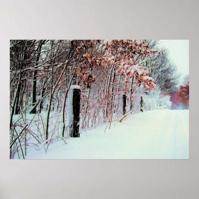 Affiche Pays froid (Devant)