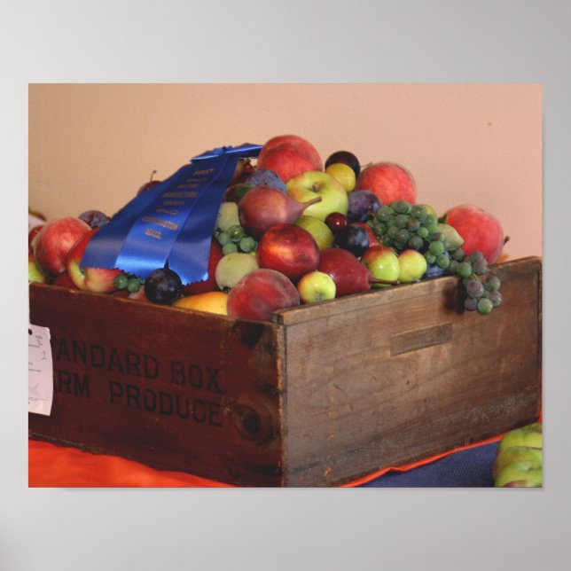 Affiche Pays Fruit Premier prix Bleu Ruban (Devant)
