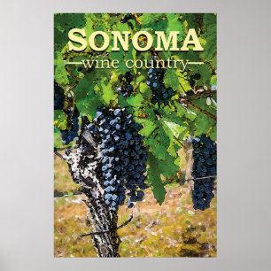 Affiche Pays vinicole de Sonoma