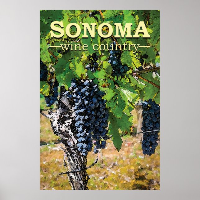 Affiche Pays vinicole de Sonoma (Devant)