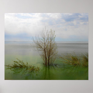Affiche Paysage
