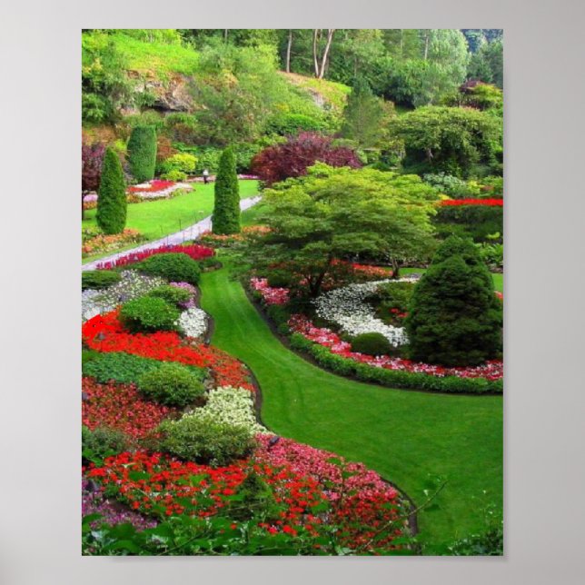 Affiche paysage (Devant)