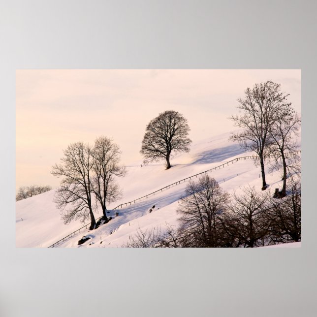 AFFICHE PAYSAGE (Devant)