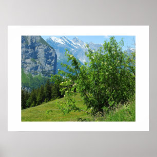 Affiche Paysage alpin en Suisse