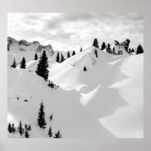 Affiche Paysage alpin : Snowy Fir Trees